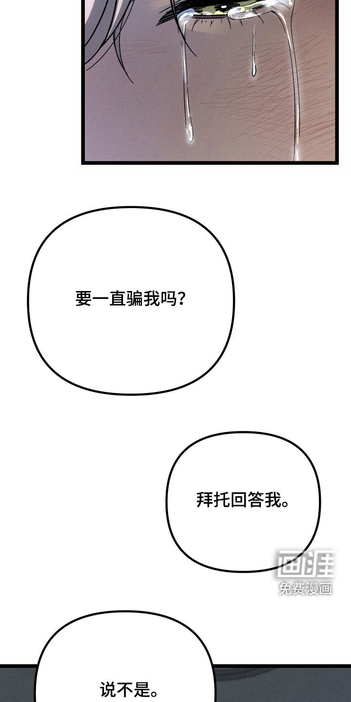 窥秘者 第34话 第11页