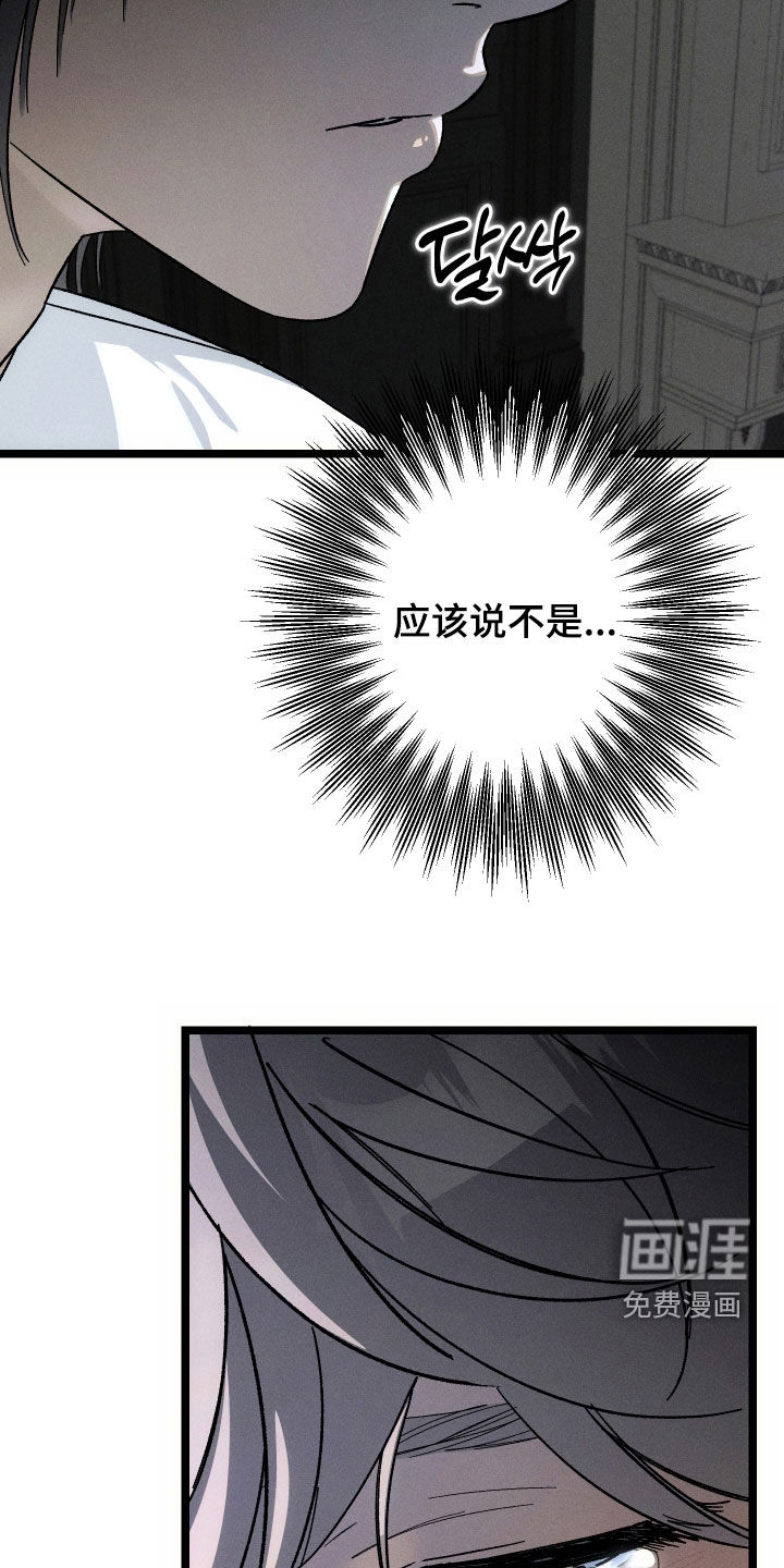 窥秘者 第34话 第10页