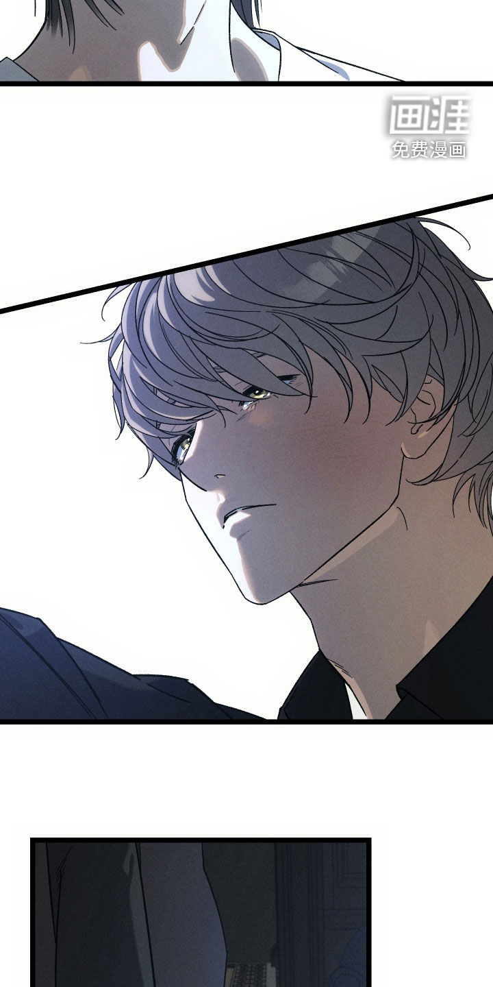 窥秘者 第33话 第31页