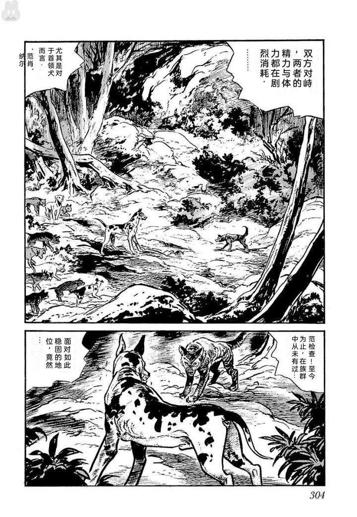 白土三平异色作品集 泣原 第311页