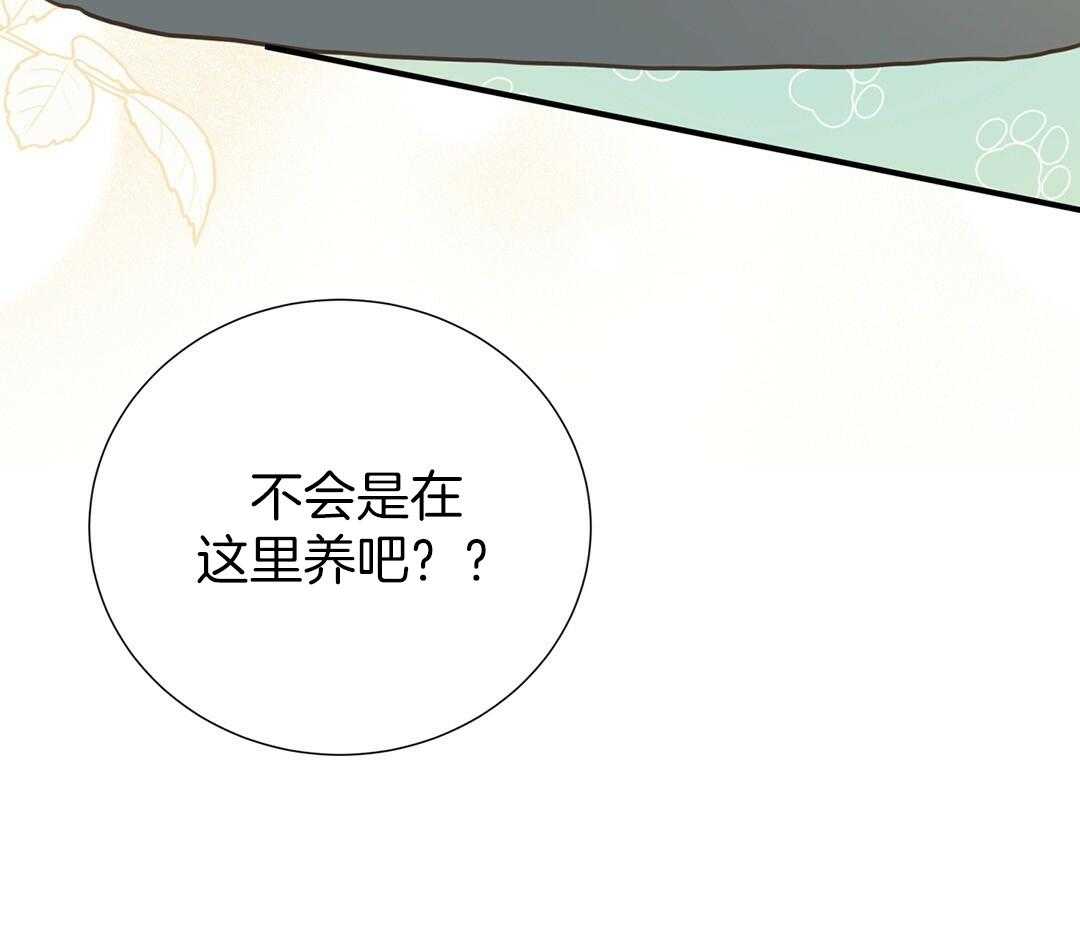 理事靠脑补送上门 第52话 想他 第37页