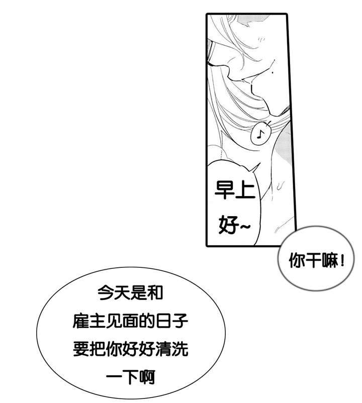 撒哈拉沙漠的黑鹰 第4话 第3页