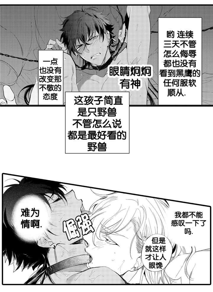 撒哈拉沙漠的黑鹰 第6话 第2页