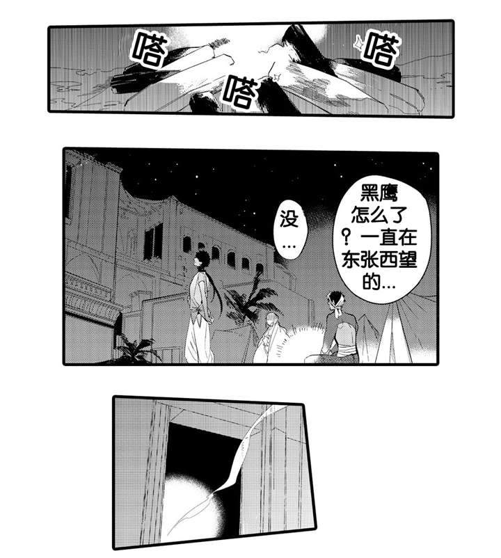 撒哈拉沙漠的黑鹰 第7话 第9页
