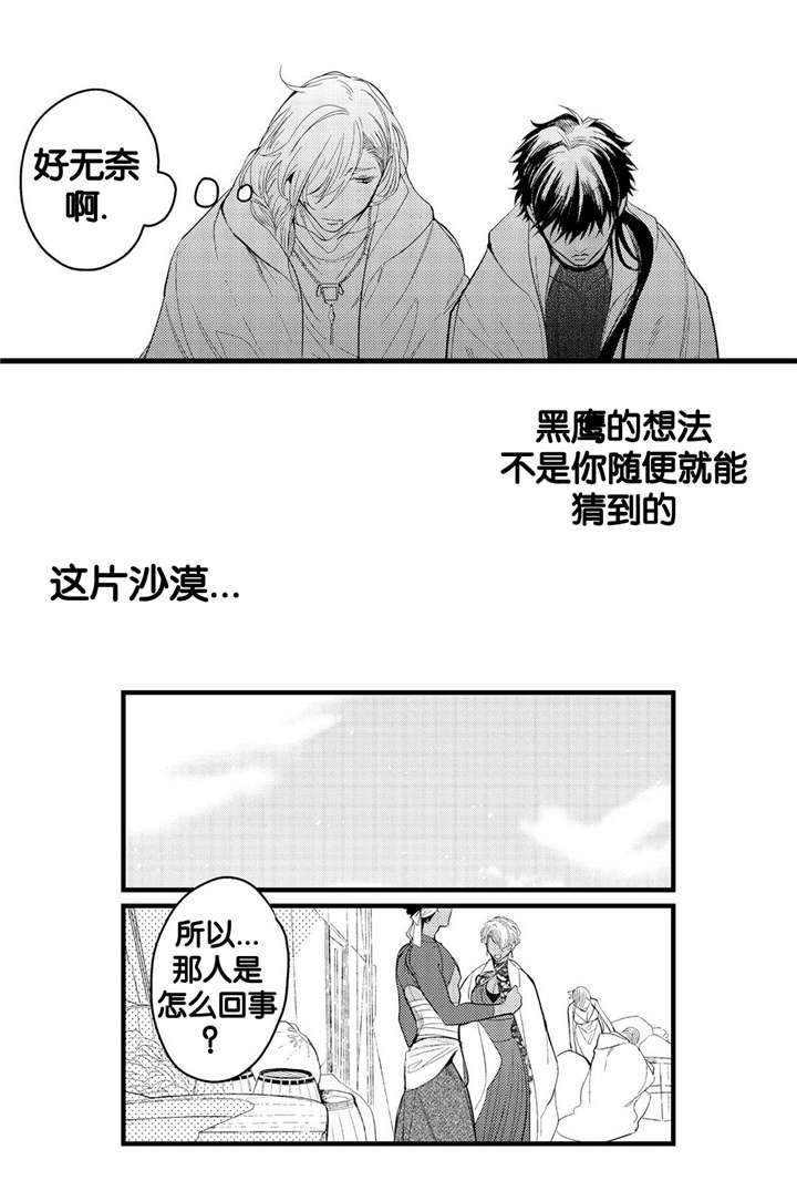 撒哈拉沙漠的黑鹰 第9话 第9页