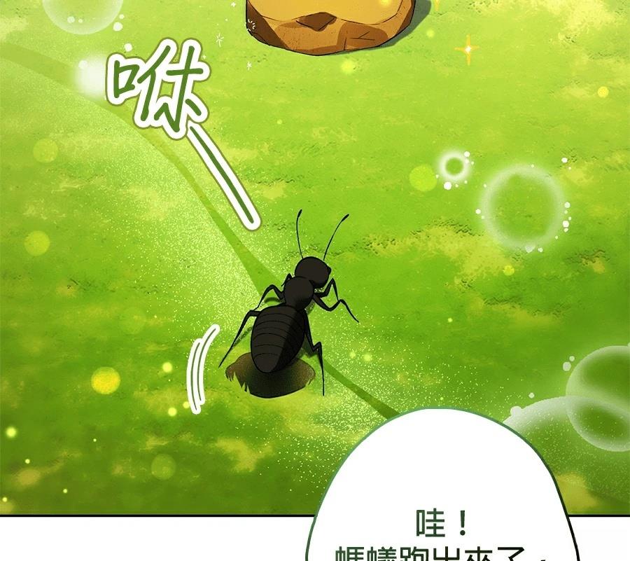 普雷斯顿侯爵的秘密家教 第8话 第43页