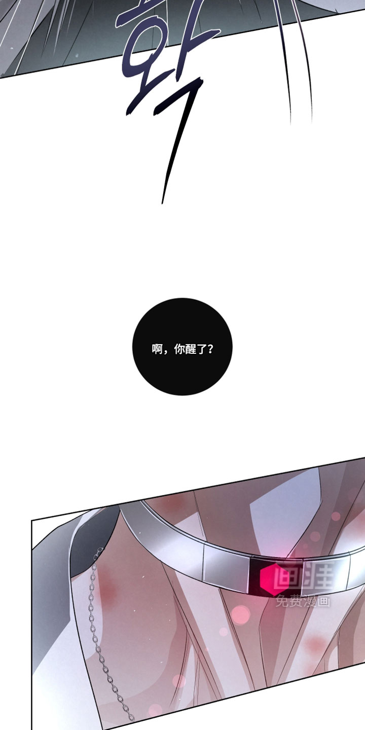 血液指南 第94话 第11页