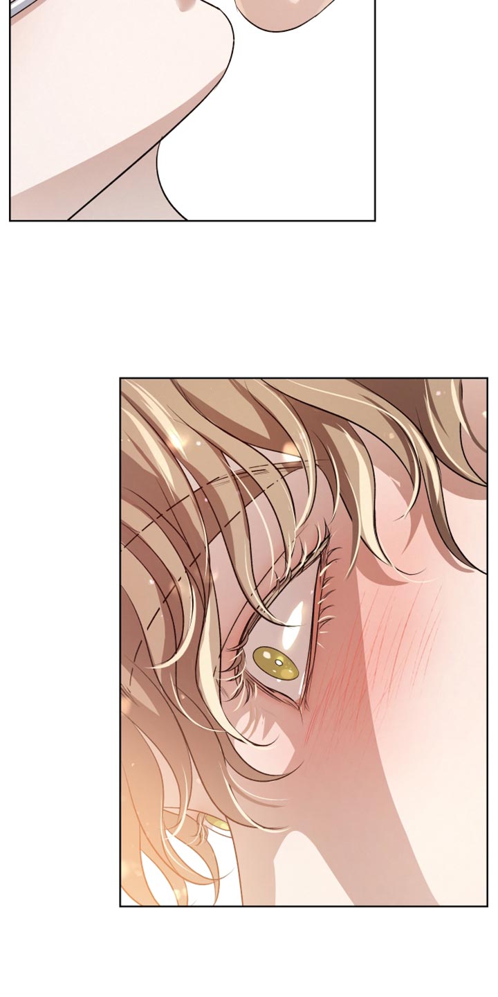 血液指南 第148话 第37页